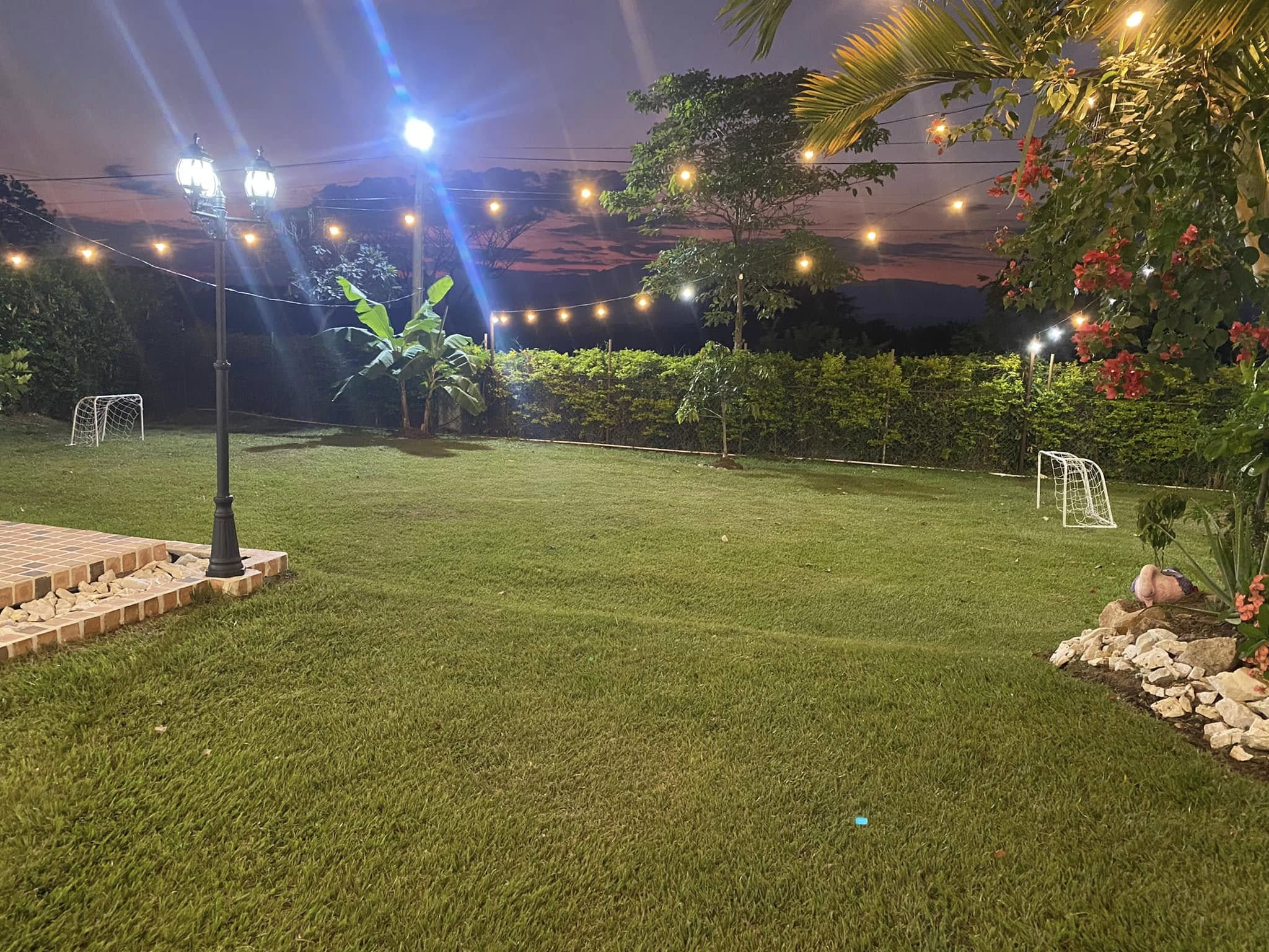 Zona verde noche